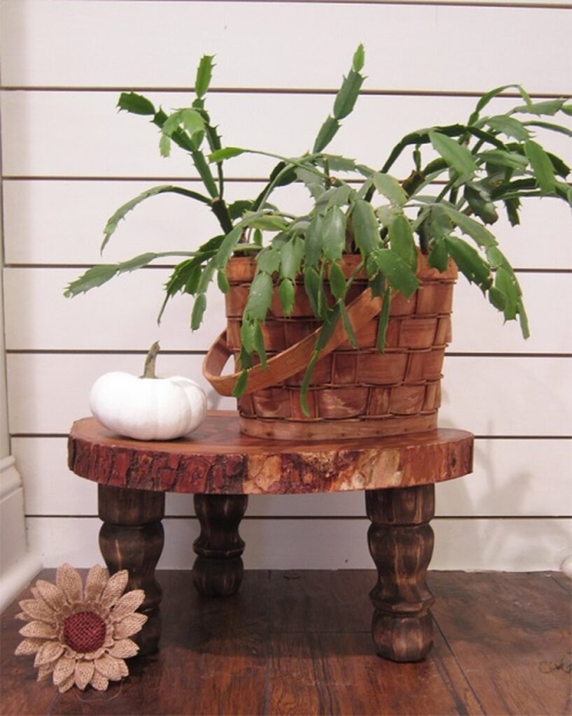 28 Charming DIY Plant Risers for Indoor Plants That Wow Guests
