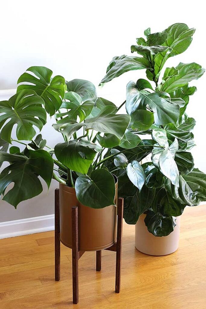 28 Charming DIY Plant Risers for Indoor Plants That Wow Guests