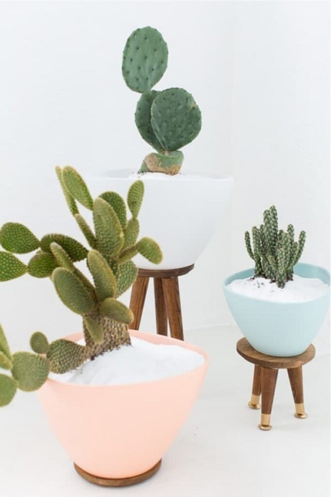 28 Charming DIY Plant Risers for Indoor Plants That Wow Guests