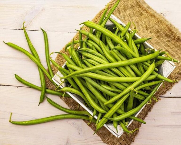 String Bean Or Olive Surprisingly