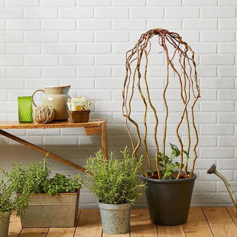 20 Charming DIY Garden Ladders and Trellises Using Tree Branches