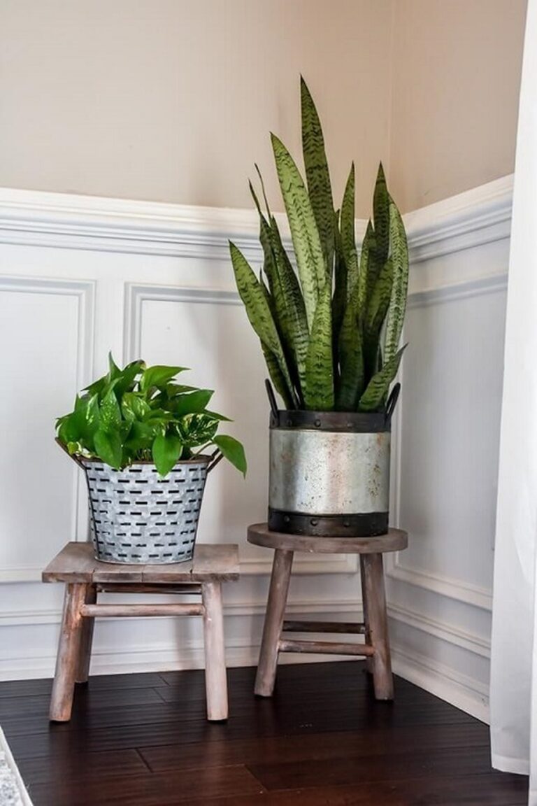 28 Charming DIY Plant Risers for Indoor Plants That Wow Guests