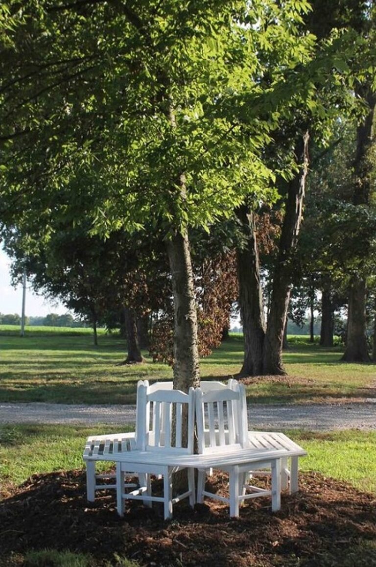 20 Delightful DIY Tree Projects To Transform Your Backyard
