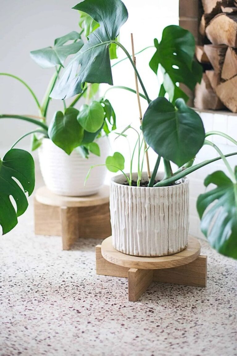 28 Charming DIY Plant Risers for Indoor Plants That Wow Guests