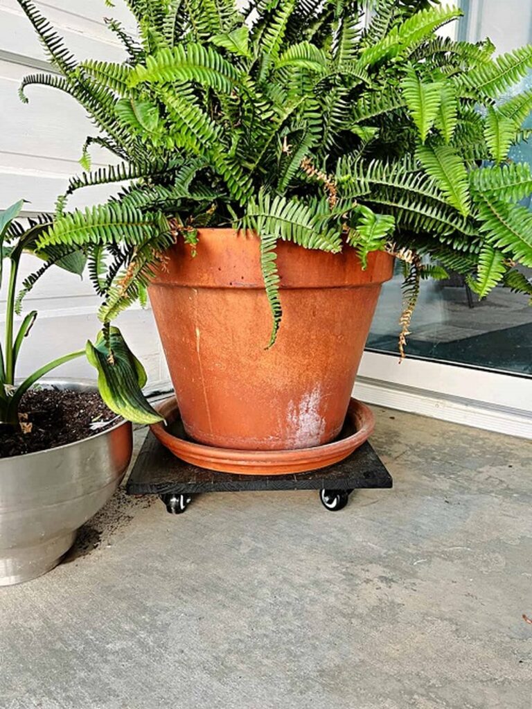 28 Charming DIY Plant Risers for Indoor Plants That Wow Guests