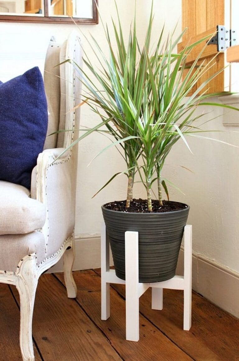 28 Charming DIY Plant Risers for Indoor Plants That Wow Guests