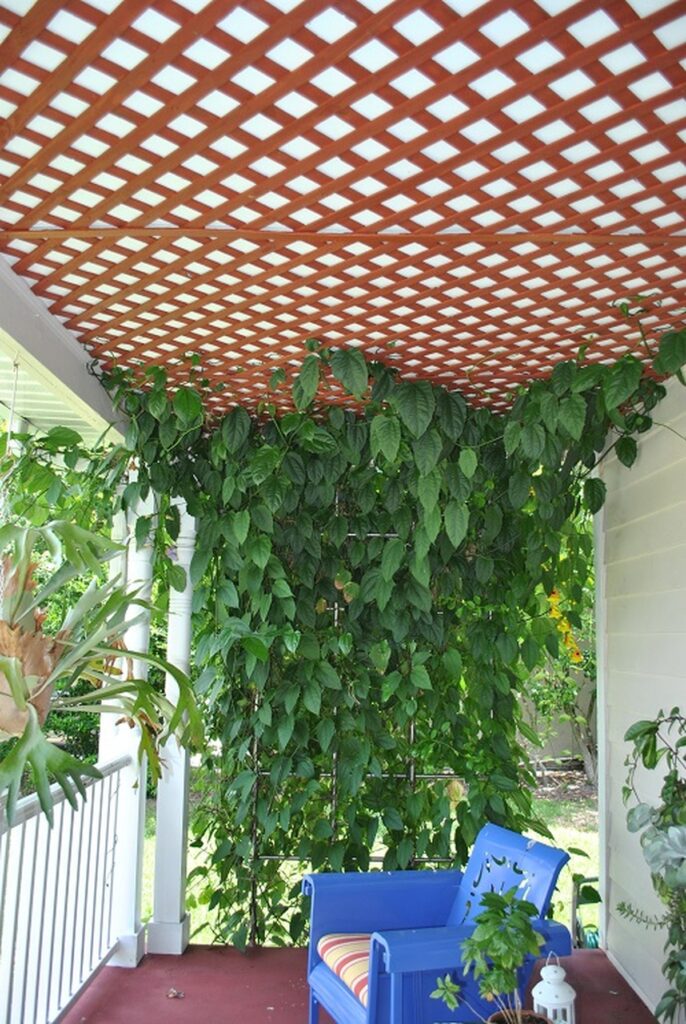 29 Stunning Plant Ceiling Ideas to Transform Your Space