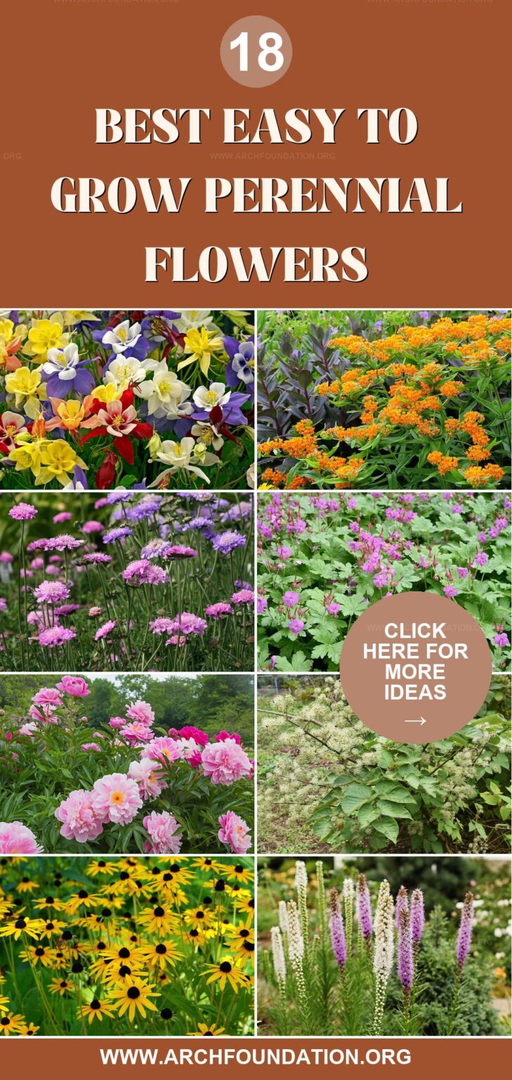 18 Best Easy to Grow Perennials for Vibrant Blooms