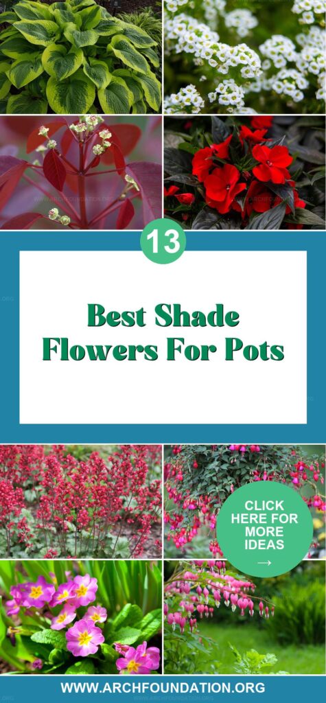 13 Stunning Shade Flowers for Pots to Brighten Your Yard